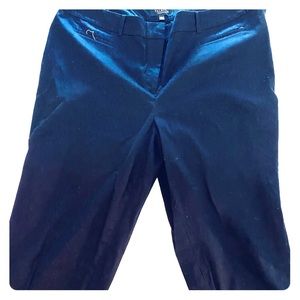 Talbots “The Perfect Crop” Pants plus Woman Petite